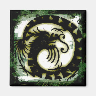 Imã Dragon Magnet