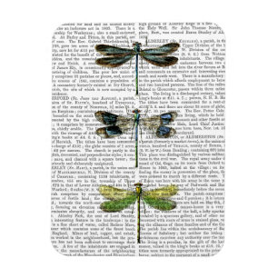 Ímã Dragonflies Impressão 3
