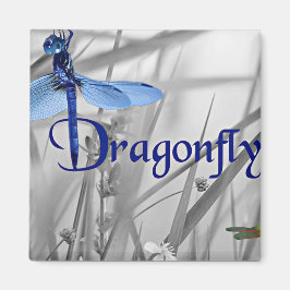 Imã Dragonfly