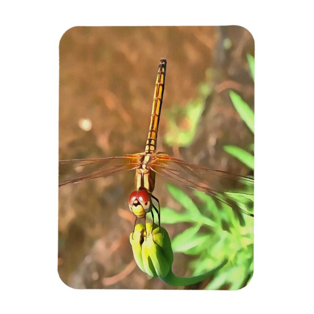 Ímã Dragonfly Artística Descendo Na Cabeça Da Flor (Vertical)