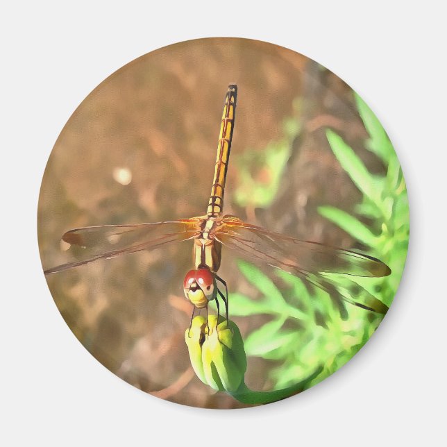 Imã Dragonfly Artística Descendo Na Cabeça Da Flor (Frente)