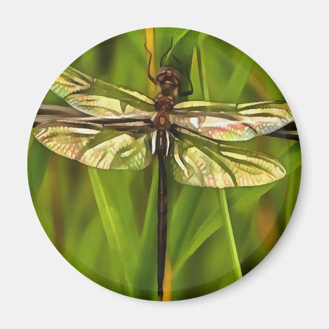 Imã Dragonfly Artística Em Castanho E Amarelo Em Verde (Frente)