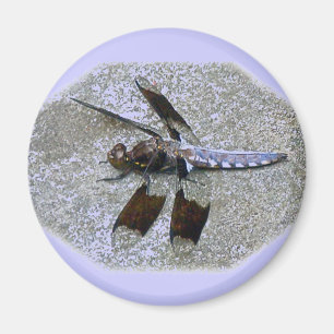 Imã Dragonfly Azul