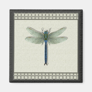 Imã Dragonfly Azul Elegante