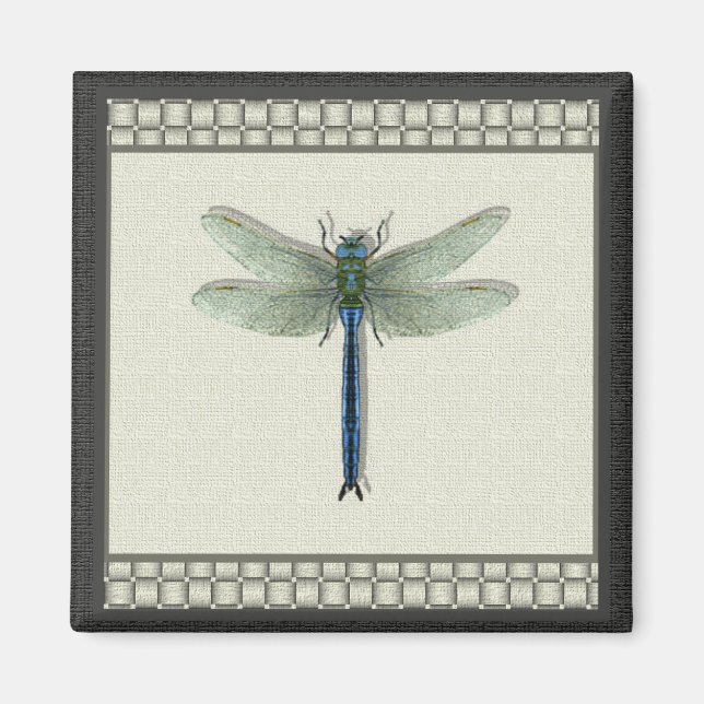 Imã Dragonfly Azul Elegante (Frente)