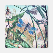 Dragonfly Azul na ilustração da safra da lagoa