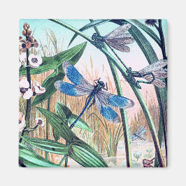 Imã Dragonfly Azul na ilustração da safra da lagoa