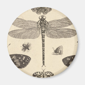 Imã Dragonfly (detalhe) Vintage Art
