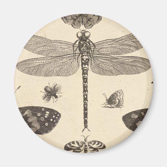 Imã Dragonfly (detalhe) Vintage Art (Frente)