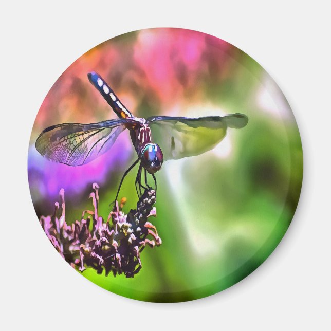 Imã Dragonfly em pintura realística verde e azul (Frente)