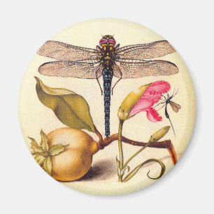 Imã Dragonfly, Pear, Cravo e Insetos