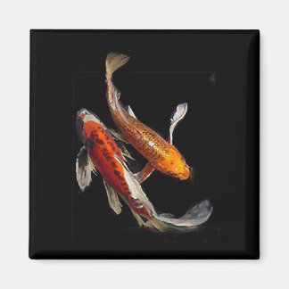 Imã Dramatic Koi Pair