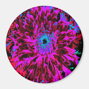 Imã Dramson Red, Purple e Black Dahlia
