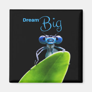 Imã Dream Big Dragonfly - Magnet Motivational Quote