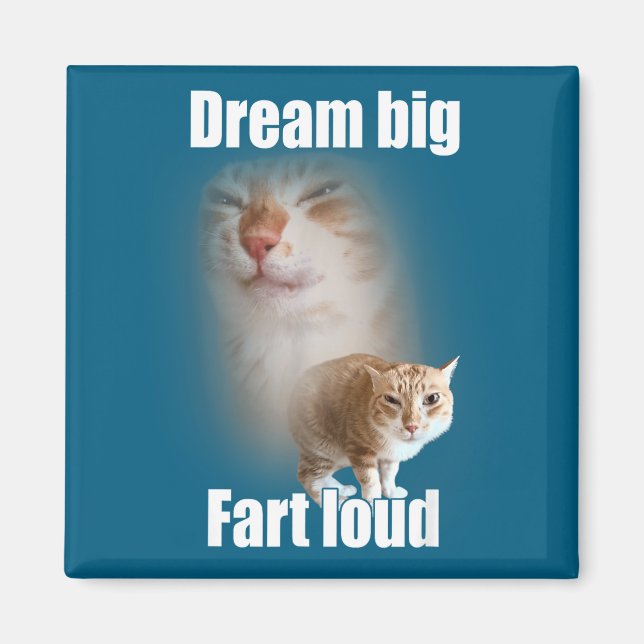 Imã Dream Big Fart Loud Cat Meme Funny Saying  (Frente)