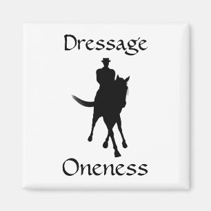 Imã Dressage É Um Magneto De Cavalo