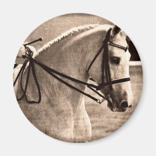 Imã Dressage Grunge
