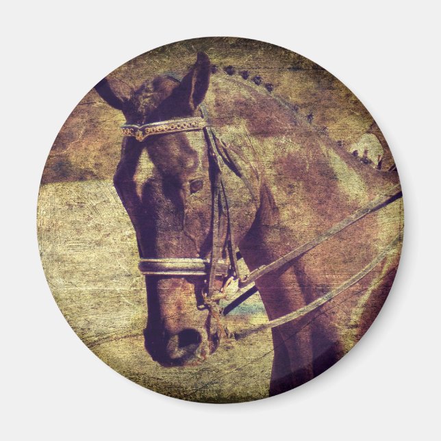 Imã Dressagem (Frente)