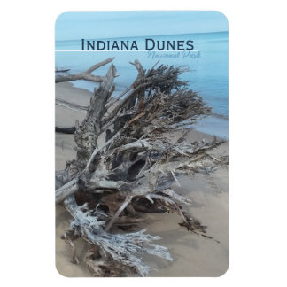 Ímã Driftwood Indiana Dunes National Park Magnet