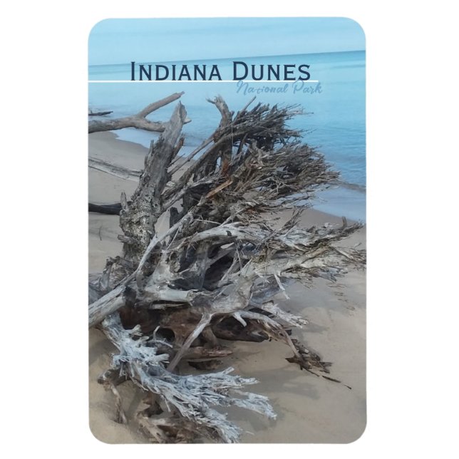 Ímã Driftwood Indiana Dunes National Park Magnet (Vertical)
