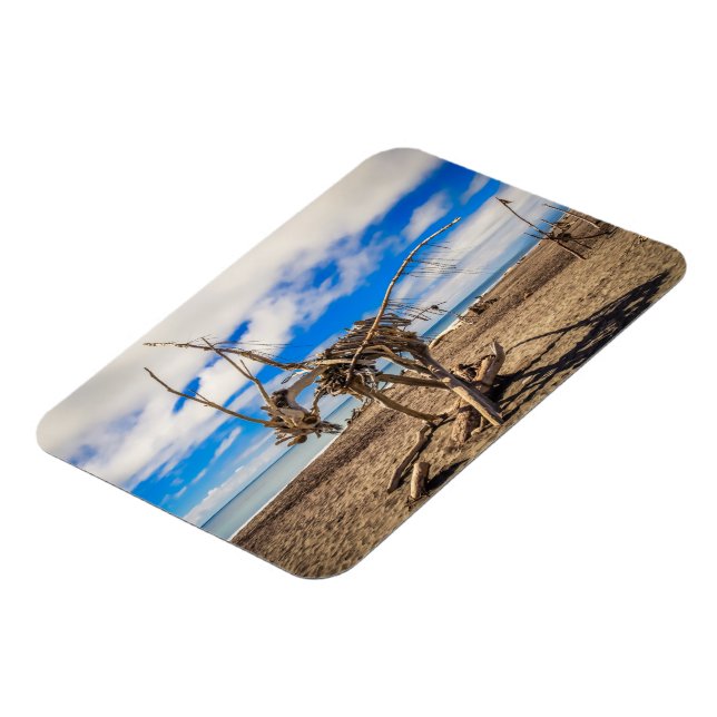 Ímã Driftwood trabalho de arte em Hokitika Beach, Nova (Left Side)