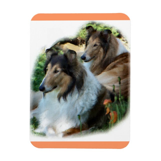 Ímã Duas Collies Sable Rough (Vertical)