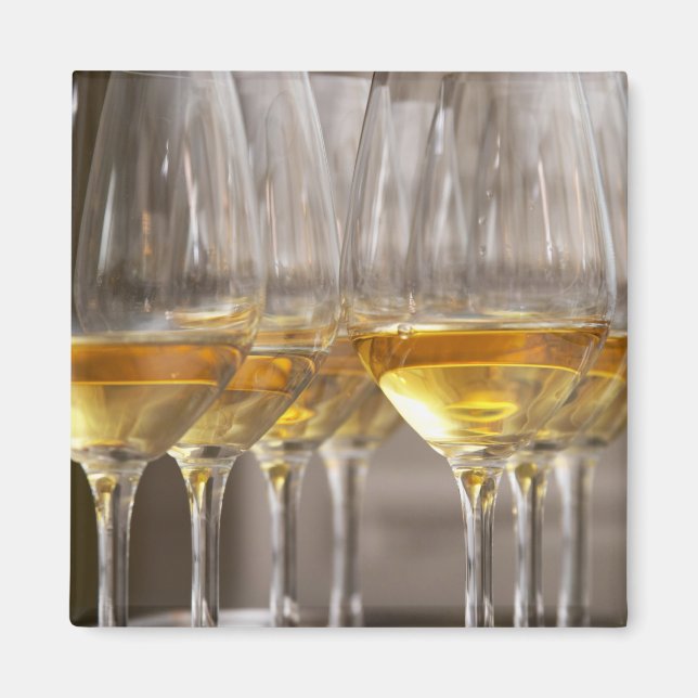 Imã duas fileiras de copos para degustação de vinho co (Frente)