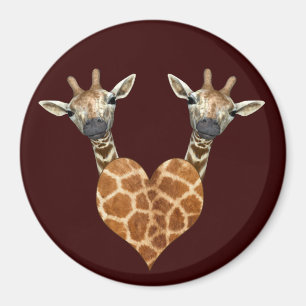 Imã Duas girafas adoráveis
