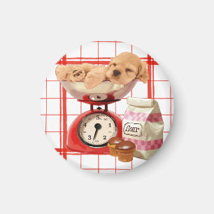 Imã Duas libras de bonito