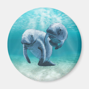 Imã Duas Nadações de Manateus