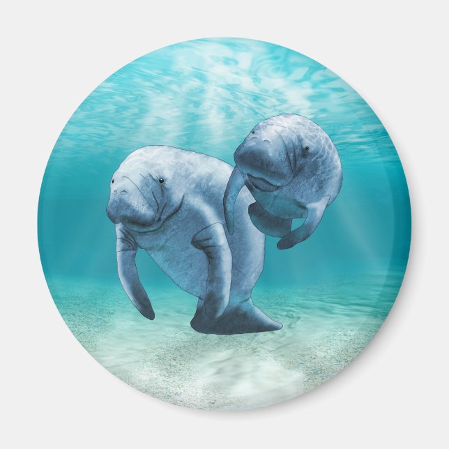 Imã Duas Nadações de Manateus (Frente)