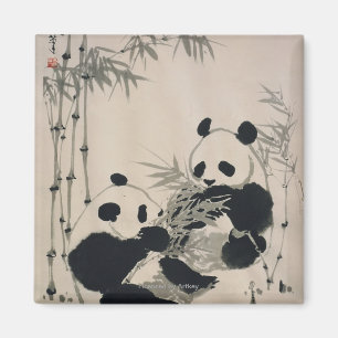 Imã Duas pandas
