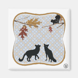 Imã Duas Rapoas Fectching