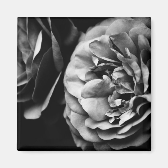 Imã duas rosas (Frente)