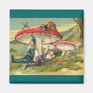 Imã Duendes sonolentos