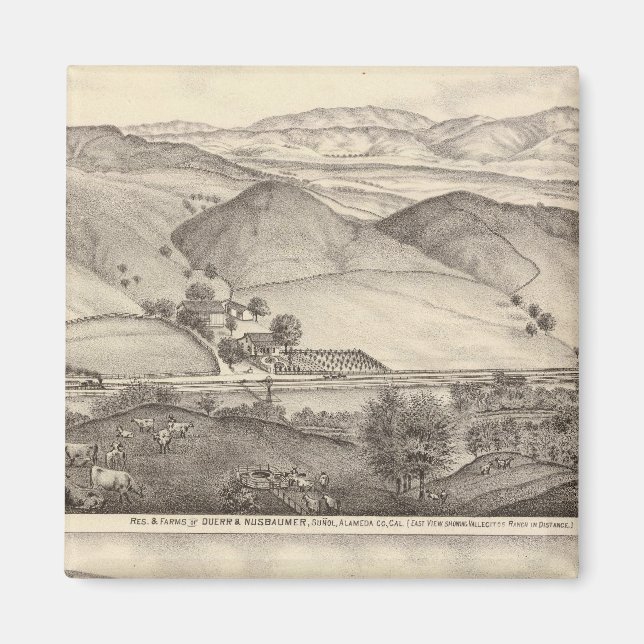 Imã Duerr, Nusbaumer, ranhuras para solteiros (Frente)