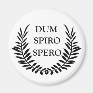 Imã dum espiro spero, frase latina