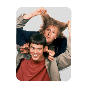 Ímã Dumb e Dumber   Lloyd e Harry