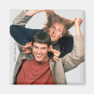 Imã Dumb e Dumber   Lloyd e Harry