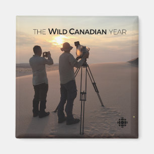 Imã Dunas de Areia Athabasca