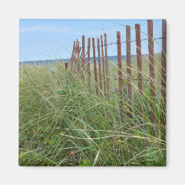 Imã Dunas de Cape Cod