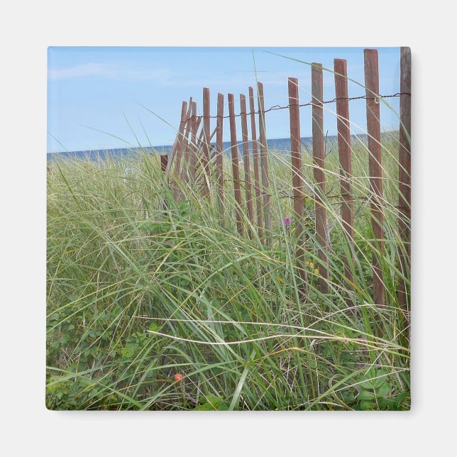 Imã Dunas de Cape Cod (Frente)