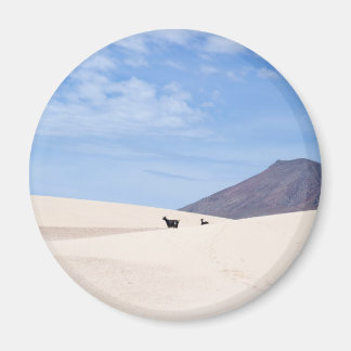 Imã Dunas de Corralejo, Fuerteventura, Ilhas Canárias