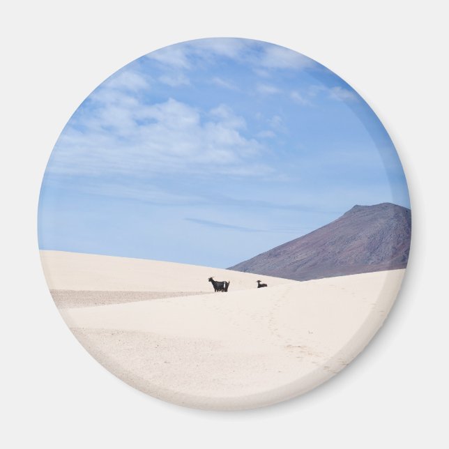 Imã Dunas de Corralejo, Fuerteventura, Ilhas Canárias (Frente)