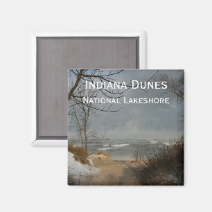 Imã Dunas de Indiana, o Lago Michigan, costa, inverno