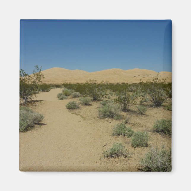 Imã Dunas de Kelso no Parque Nacional de Mojave (Frente)