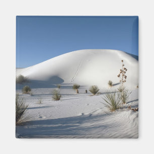 Imã Dunas Transversais e Soaptree Yucca