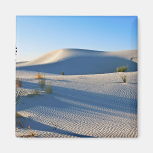 Imã Dunas Transversais, Yucca, Luz da Manhã Cedo