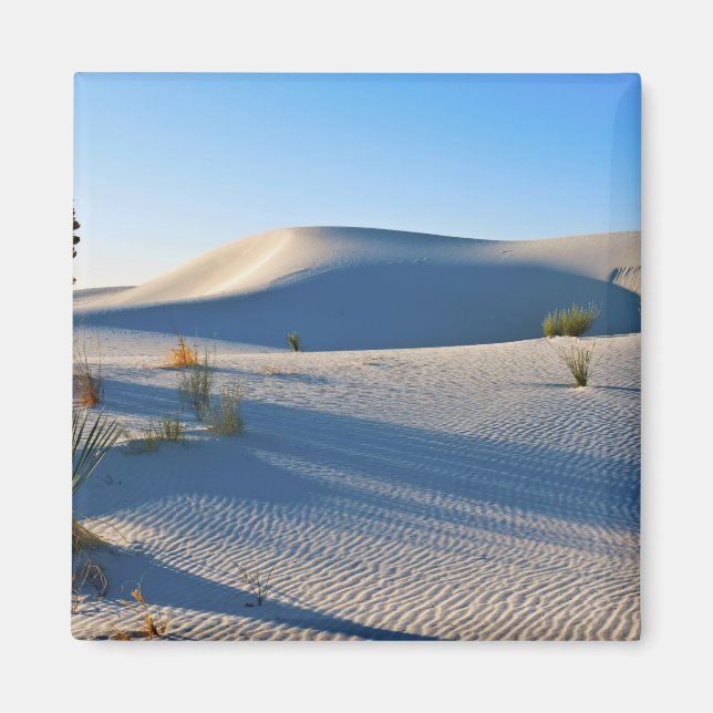 Imã Dunas Transversais, Yucca, Luz da Manhã Cedo (Frente)