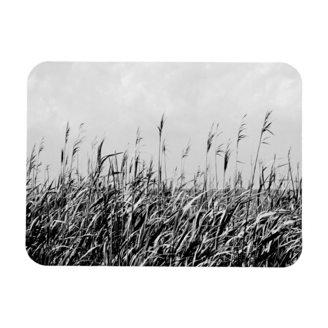 Ímã Dune Triptych III (Horizontal)